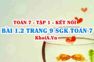 Bài 1.2 trang 9 SGK Toán 7 tập 1 Kết nối tri thức